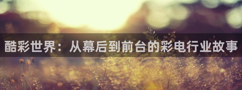 乐天堂fun集团总部：酷彩世界：从幕后到前台的彩电行业故事