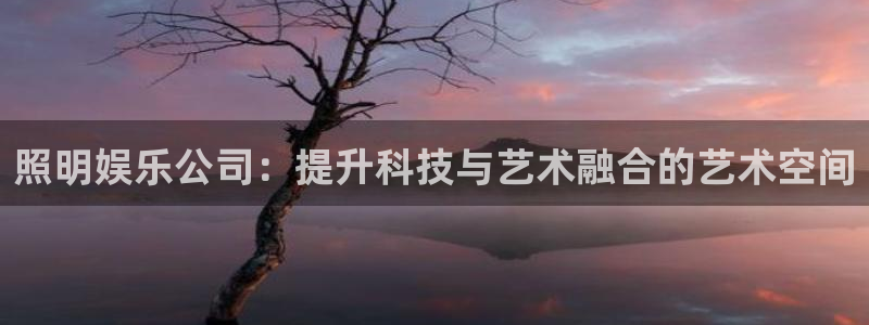 www.乐天堂fun体育.com：照明娱乐公司：提升科技与艺术融合的艺术空间