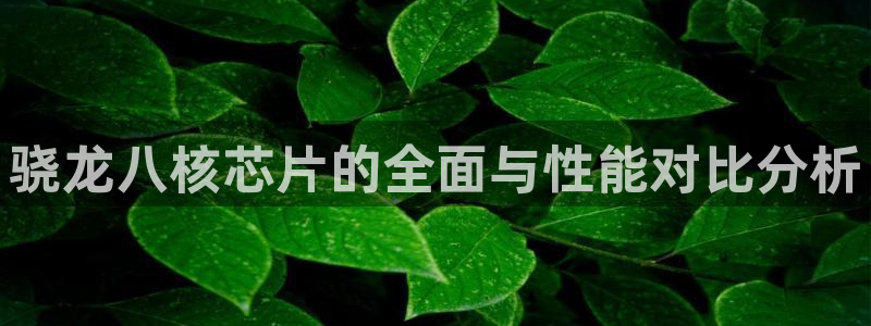 乐天堂fun2平台登录：骁龙八核芯片的全面与性能对比分析