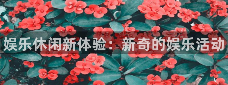 乐天堂fun凯捷注册：娱乐休闲新体验：新奇的娱乐活动