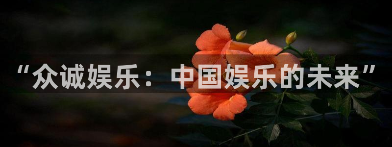 乐天堂fun4注册：“众诚娱乐：中国娱乐的未来”