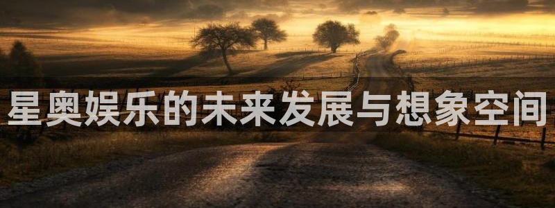 乐天堂fun代理：星奥娱乐的未来发展与想象空间