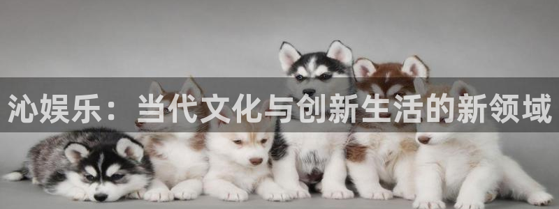 乐天堂fun电子有限公司：沁娱乐：当代文化与创新生活的新领域