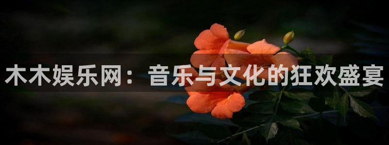 乐天堂fun4注册：木木娱乐网：音乐与文化的狂欢盛宴