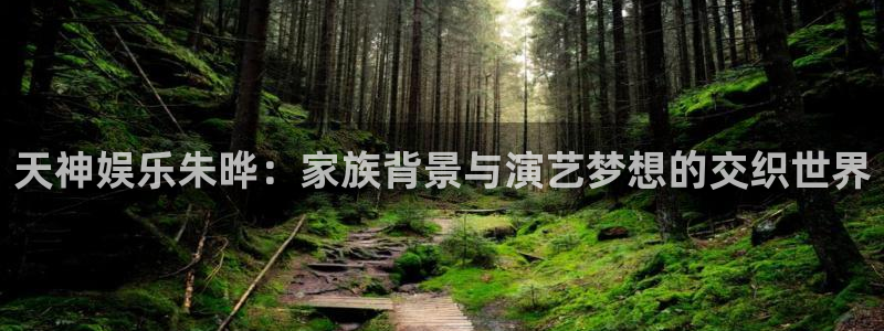 乐天堂fun零能源集团：天神娱乐朱晔：家族背景与演艺梦想的交织世界