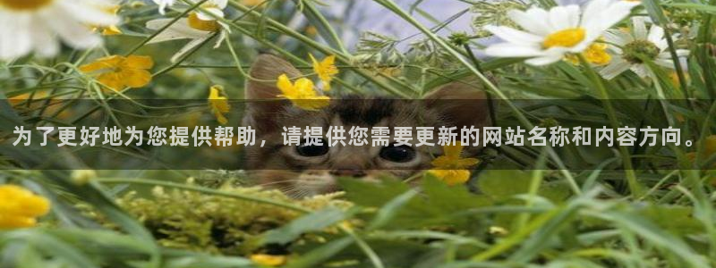 乐天堂fun主管：为了更好地为您提供帮助，请提供您需要更新的网站名称和内容方向。