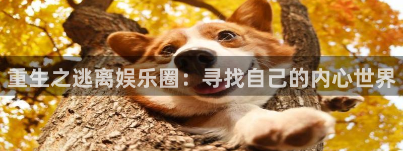 上海乐天堂fun汽车电子有限公司：重生之逃离娱乐圈：寻找自己的内心世界