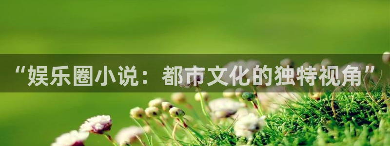 乐天堂fun体育凯捷平台代理：“娱乐圈小说：都市文化的独特视角”