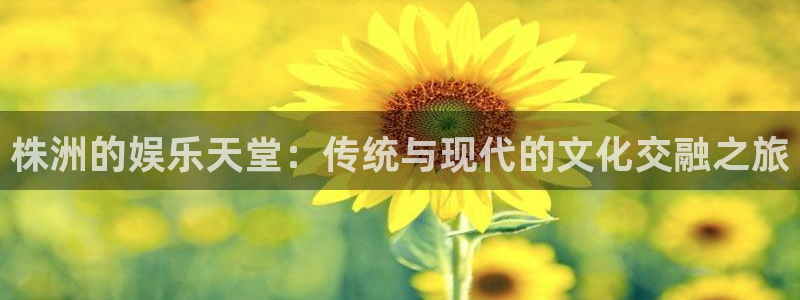 乐天堂fun凯捷平台注册链接：株洲的娱乐天堂：传统与现代的文化交融之旅